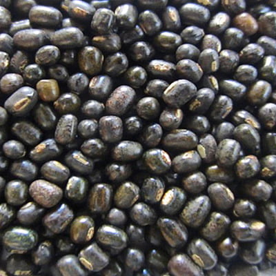 Karuppu ulundhu / Black Urad Dal (whole)