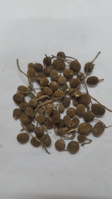KOTTAI KARANTHAI / INDIAN SPHAERANTHUS, MUNDI (DRIED)