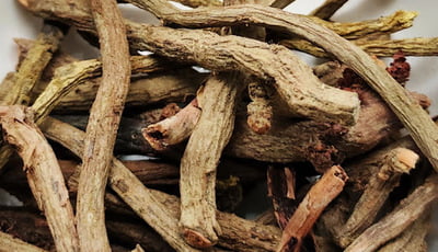 MANJITTI VER / MANJISHTA / INDIAN MADDER ROOT