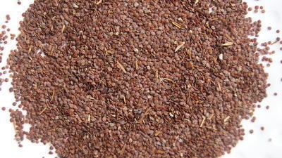 NEERMULLI VIDHAI / MARSH BARBEL SEED 