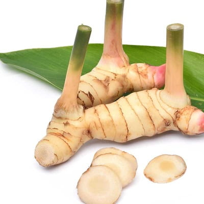 PERARATHAI / GREATER GALANGAL ROOT