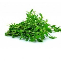 PONNAKANNI ILAI / SESSILE JOYWEED LEAF POWDER