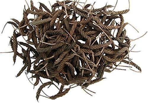 VALAMPURI KAAI / EDAMPURI KAAI / INDIAN SCREW TREE