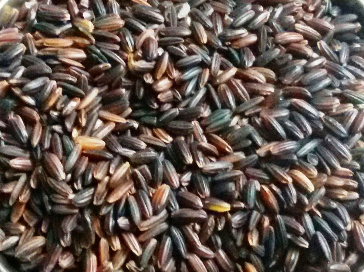KARUPPU KAVUNI ARISI / BLACK RICE
