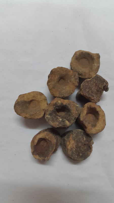 KATHA KAAMBU / KATHA / CATECHU