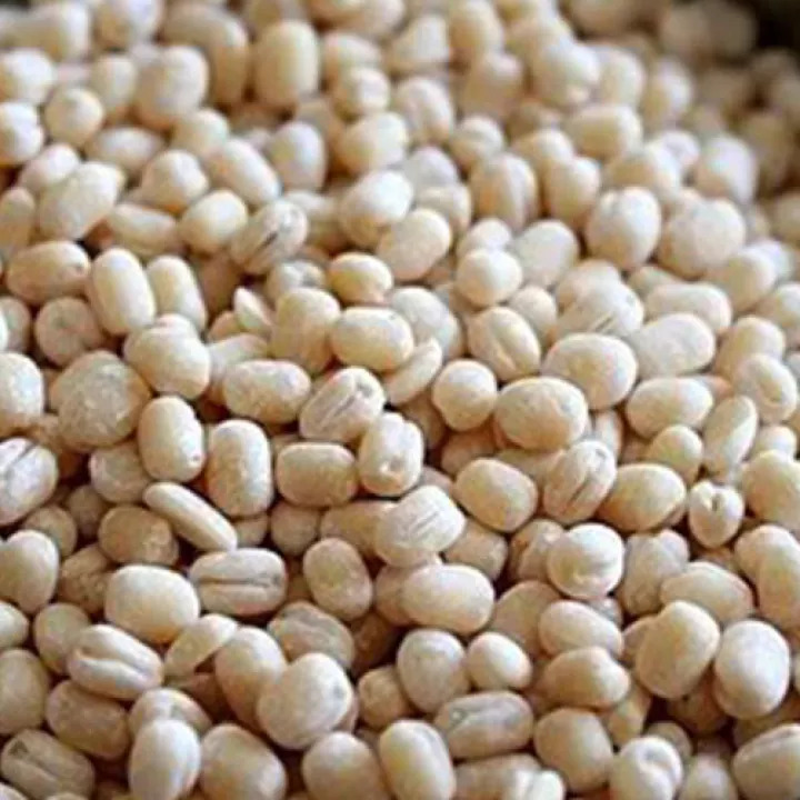 ULUNDHU PARUPPU / URAD DAL